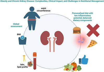Editorial: Obesity and chronic kidney disease: complexities, clinical impact, and challenges in nutritional management